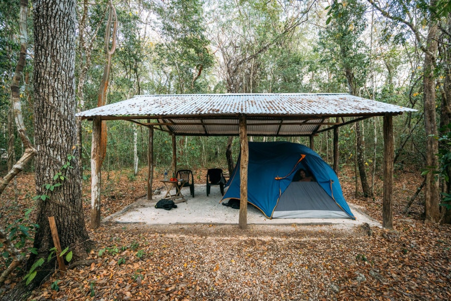 Camping in the Jungle