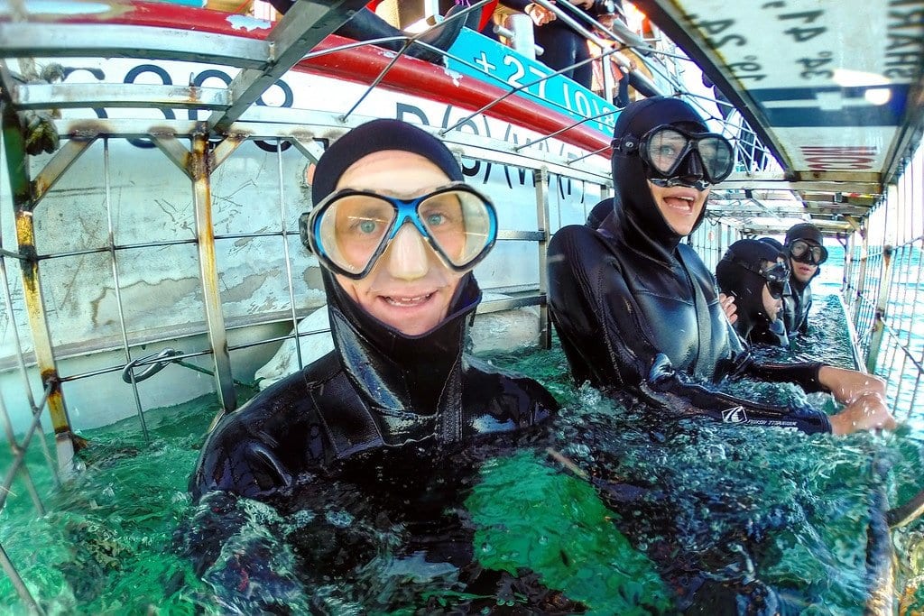 Shark Cage Diving South Africa