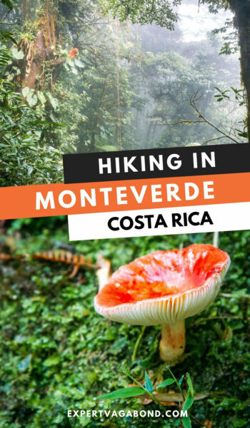 Tips for visiting Monteverde cloud forest in Costa Rica