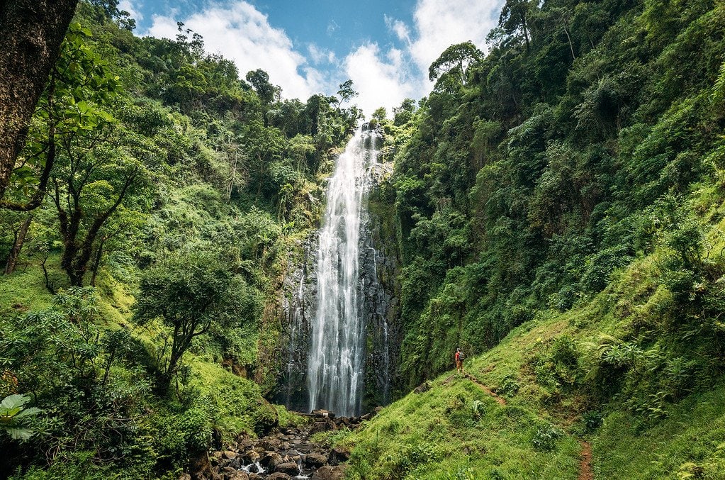 Hiking to Materuni Waterfall Tanzania Waterfall Photo