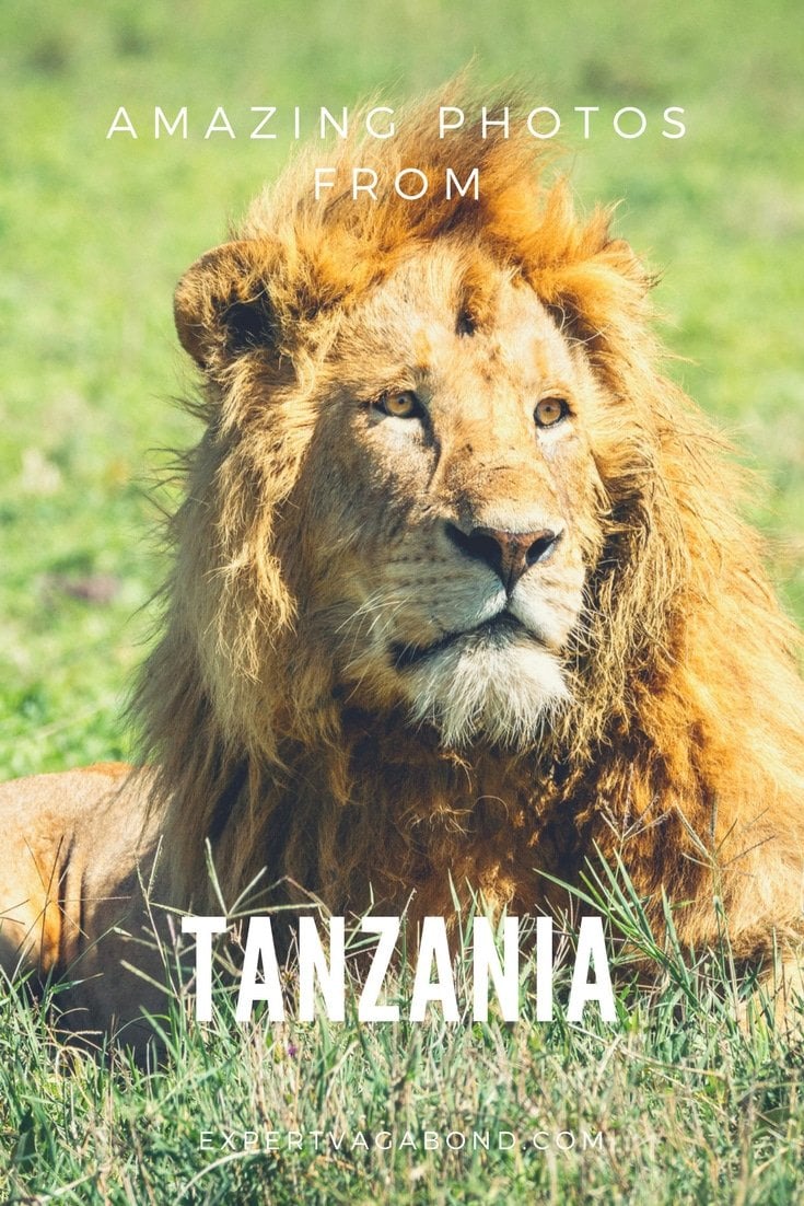 15 Photos That Will Make You Want To Visit Tanzania 15 Photos That Will Make You Want To Visit Tanzania. More at expertvagabond.com