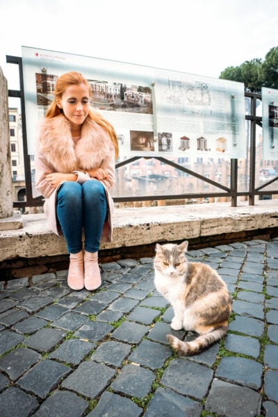 Cats at Torre Argentina