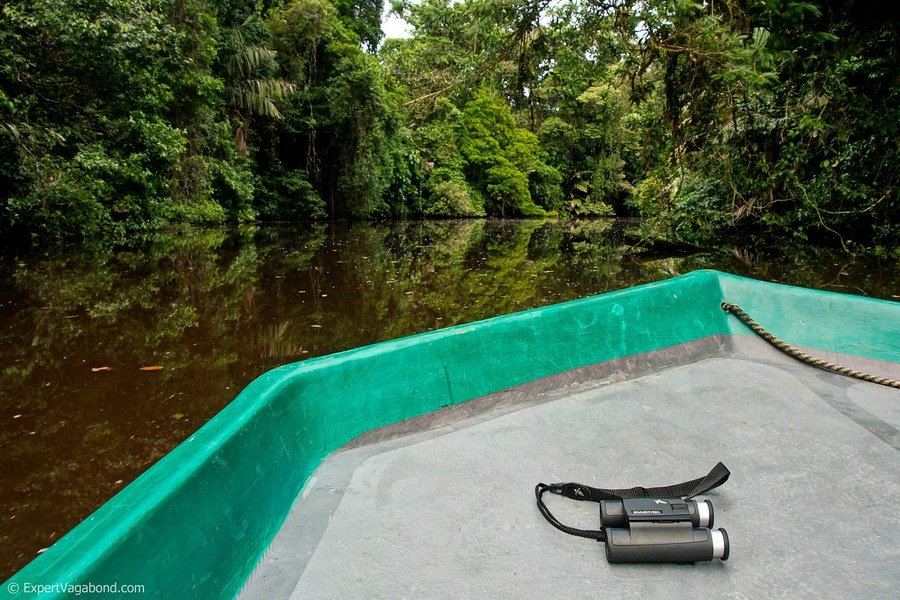 tortuguero canal tour